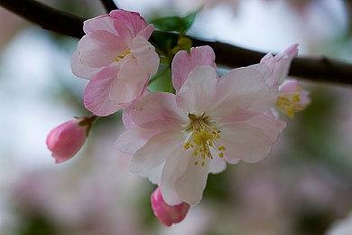 《宣誓》更多细节：被称为《老滚5》+《天外世界》